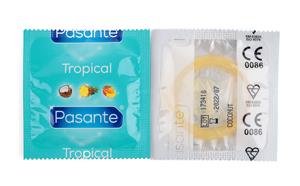 Pasante Tropical Coconut